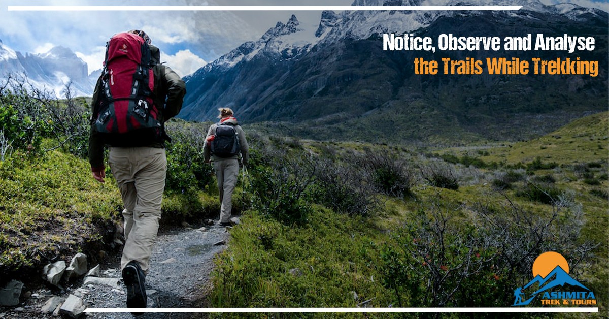 Notice, Observe and Analyse the Trails While Trekking